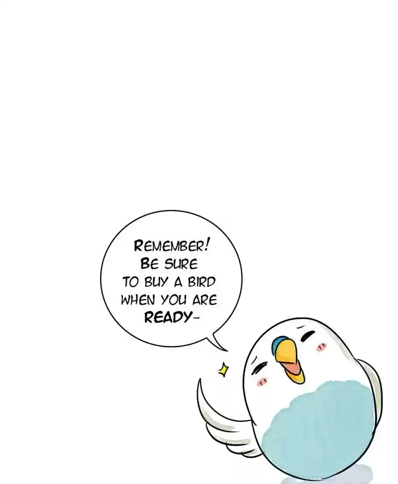 A Budgie's Life Chapter 183: Ep.182: