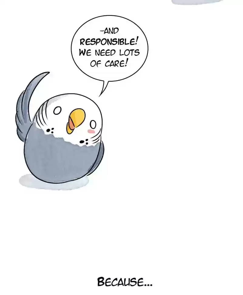 A Budgie's Life Chapter 183: Ep.182: