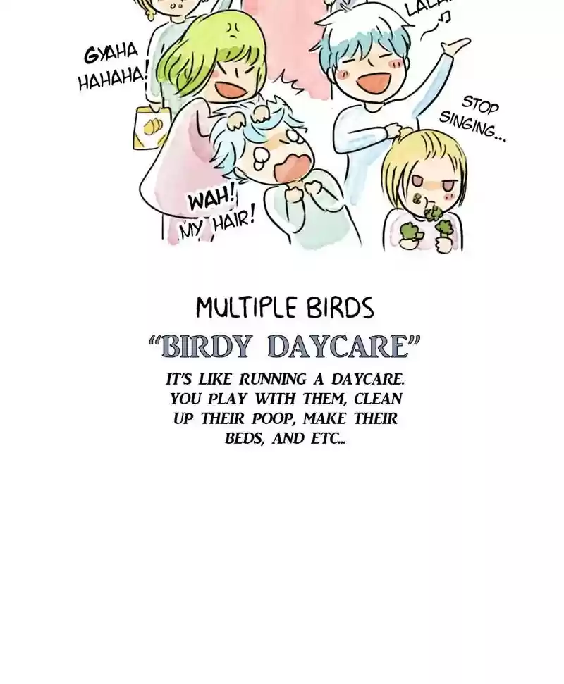 A Budgie's Life Chapter 183: Ep.182: