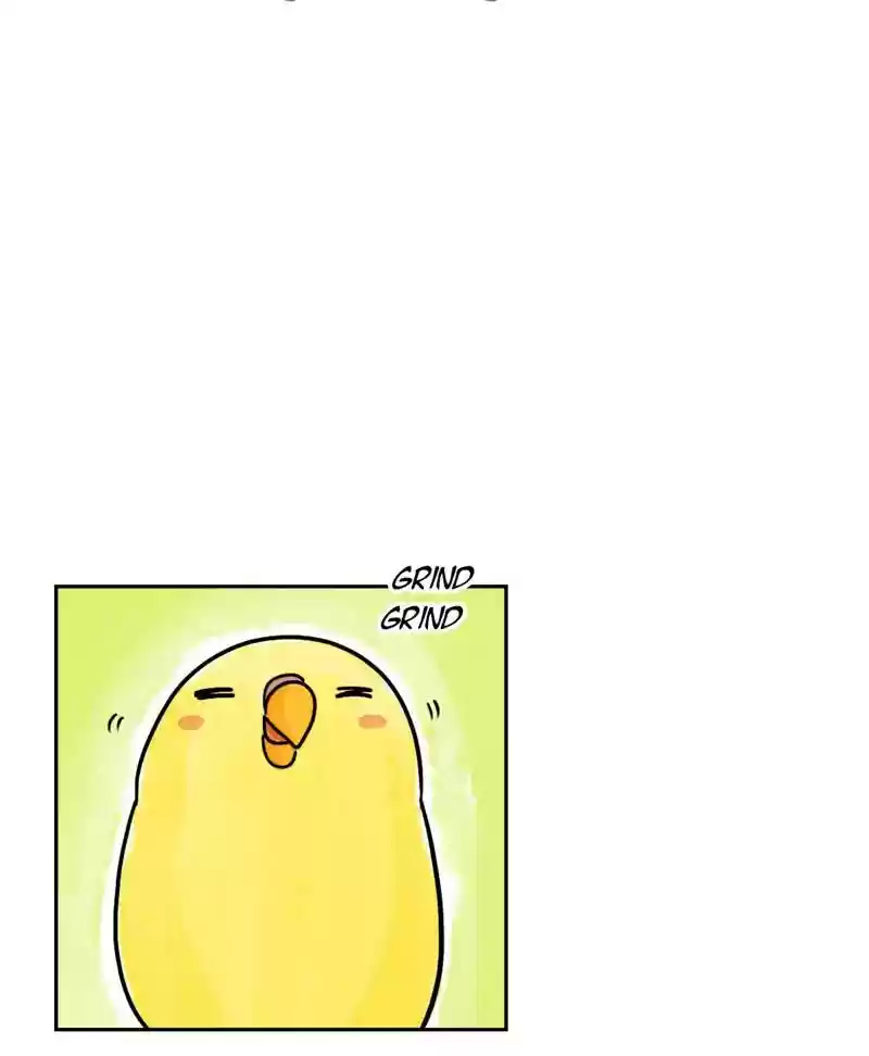 A Budgie's Life Chapter 184: Ep.183: