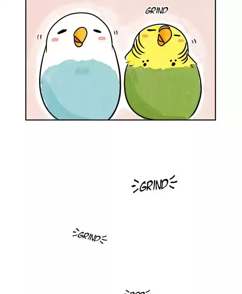 A Budgie's Life Chapter 184: Ep.183: