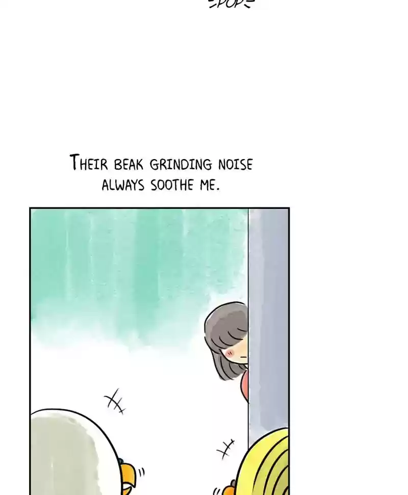 A Budgie's Life Chapter 184: Ep.183: