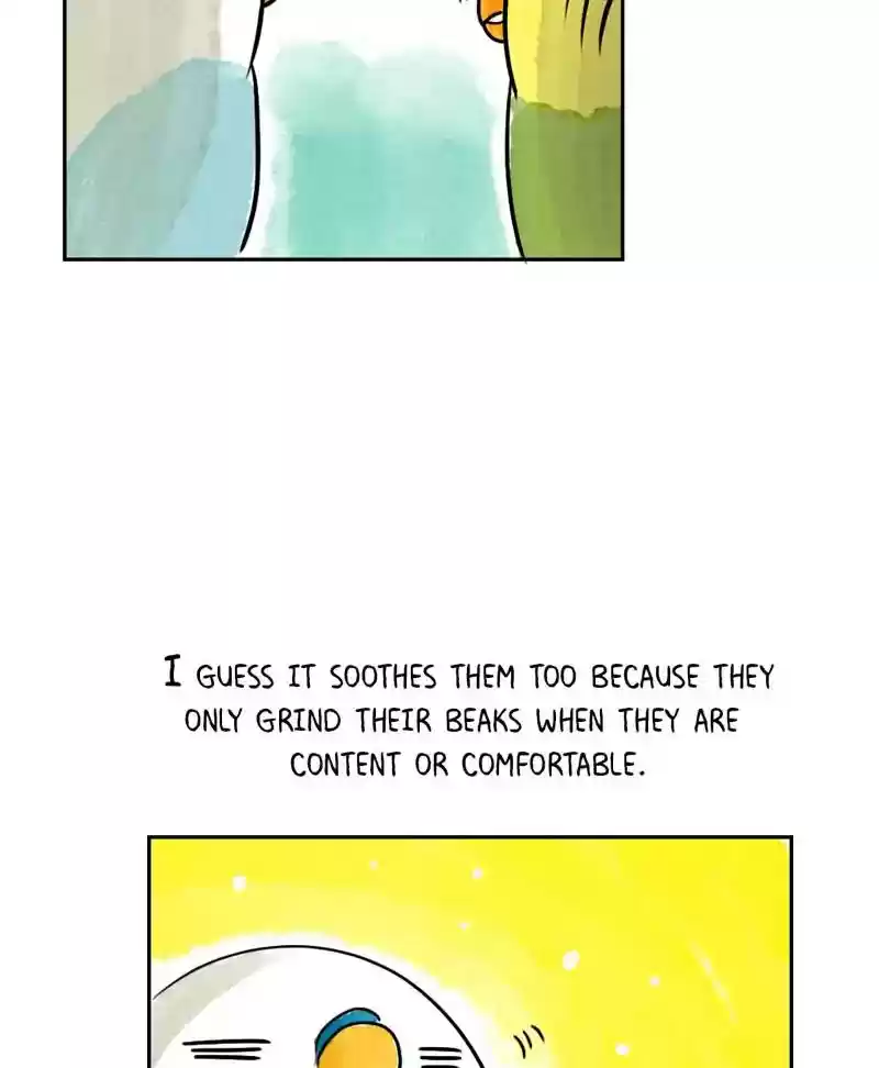 A Budgie's Life Chapter 184: Ep.183: