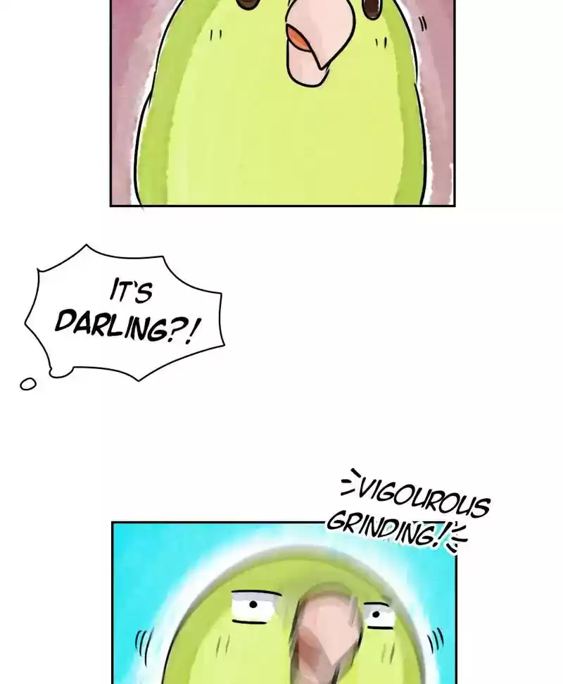A Budgie's Life Chapter 184: Ep.183: