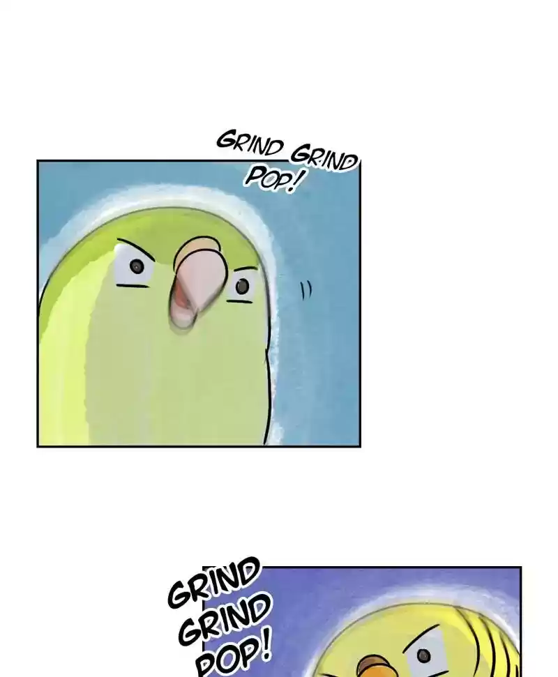 A Budgie's Life Chapter 184: Ep.183: