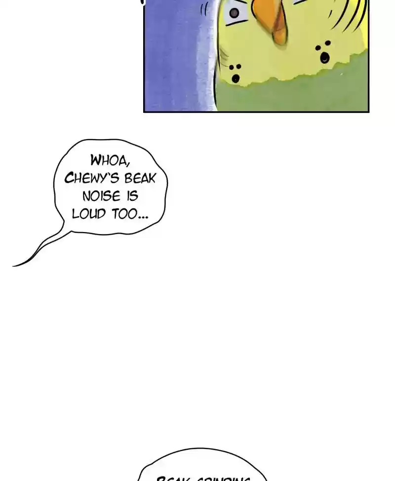 A Budgie's Life Chapter 184: Ep.183: