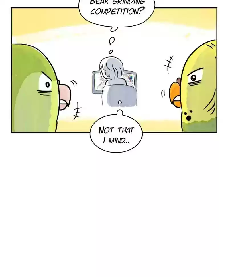 A Budgie's Life Chapter 184: Ep.183: