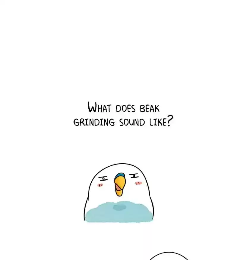 A Budgie's Life Chapter 184: Ep.183: