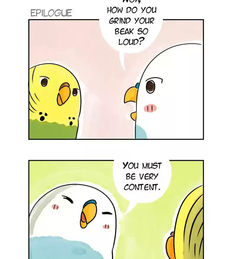 A Budgie's Life Chapter 184: Ep.183: