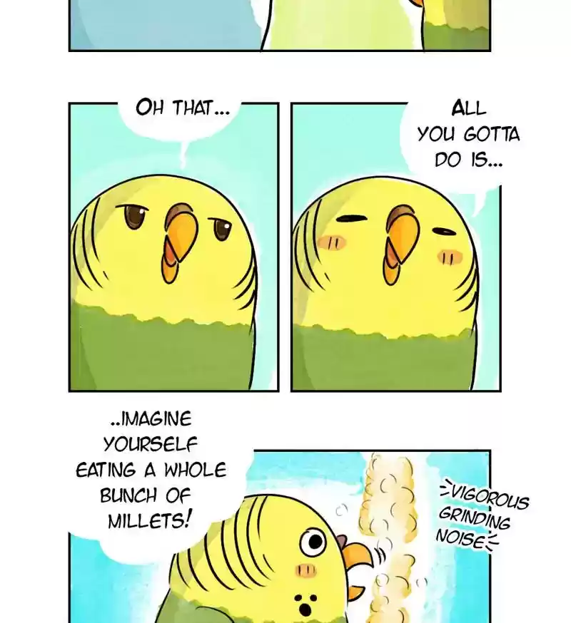 A Budgie's Life Chapter 184: Ep.183:
