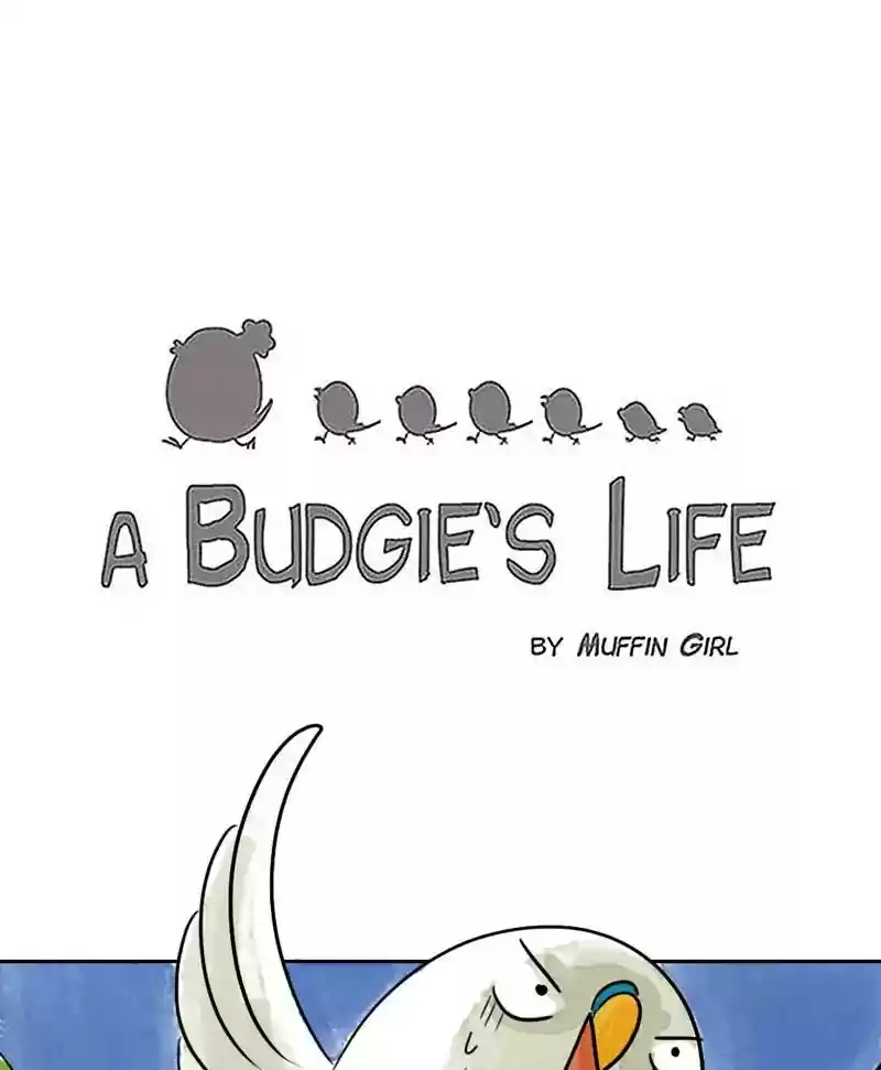 A Budgie's Life Chapter 185: Ep.184: