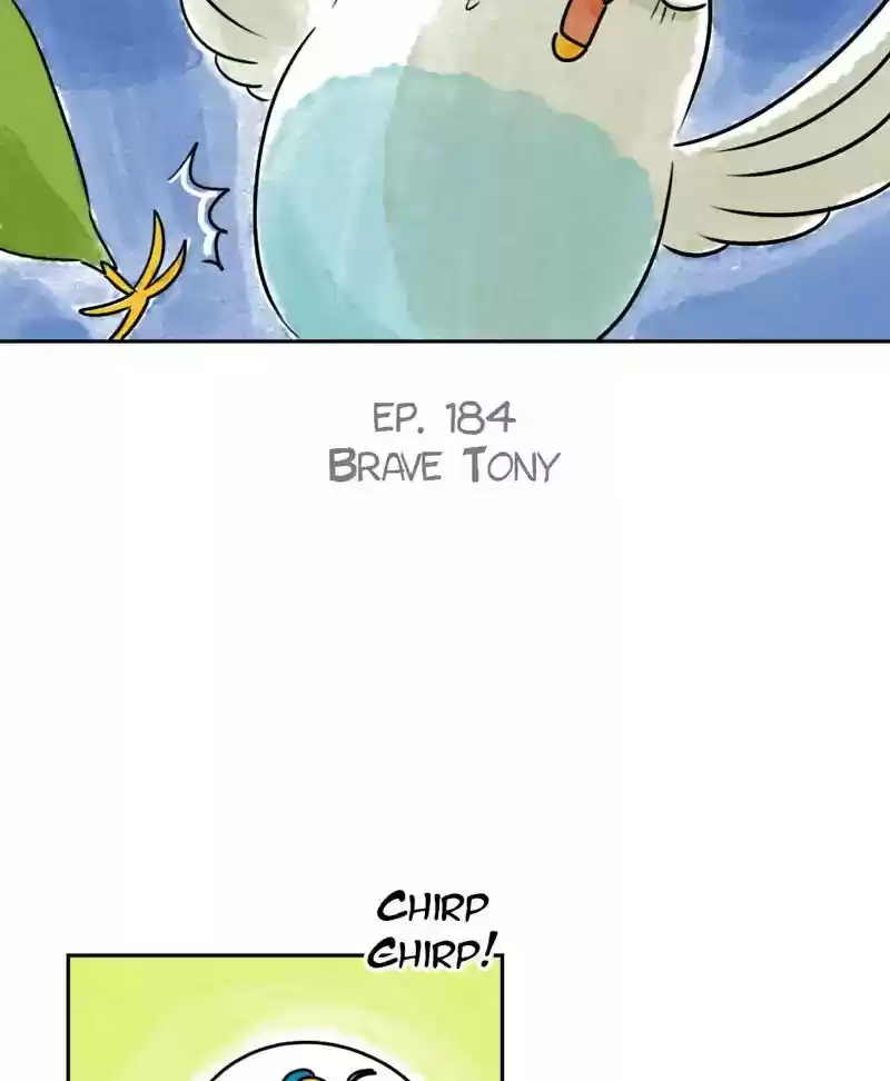 A Budgie's Life Chapter 185: Ep.184: