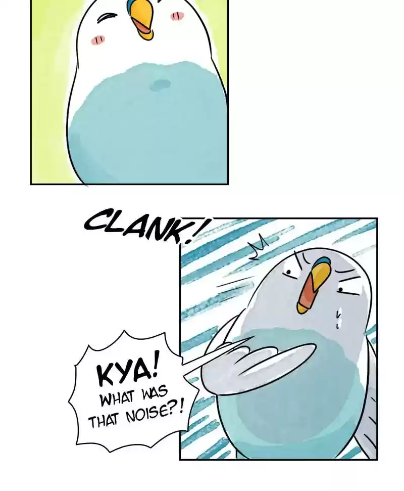 A Budgie's Life Chapter 185: Ep.184: