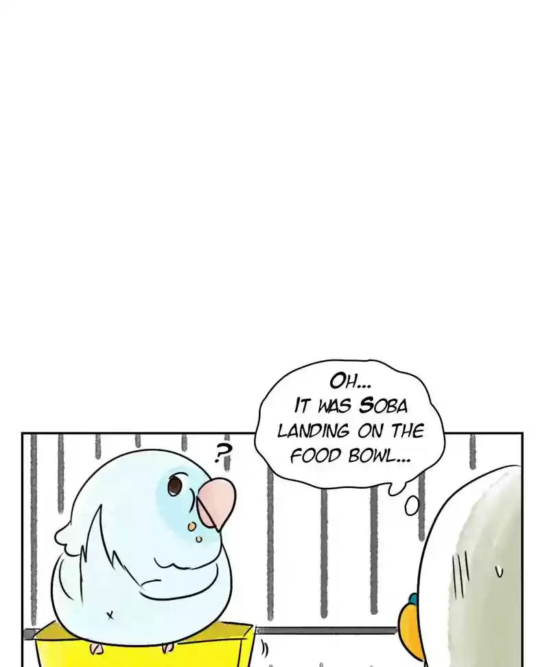 A Budgie's Life Chapter 185: Ep.184: