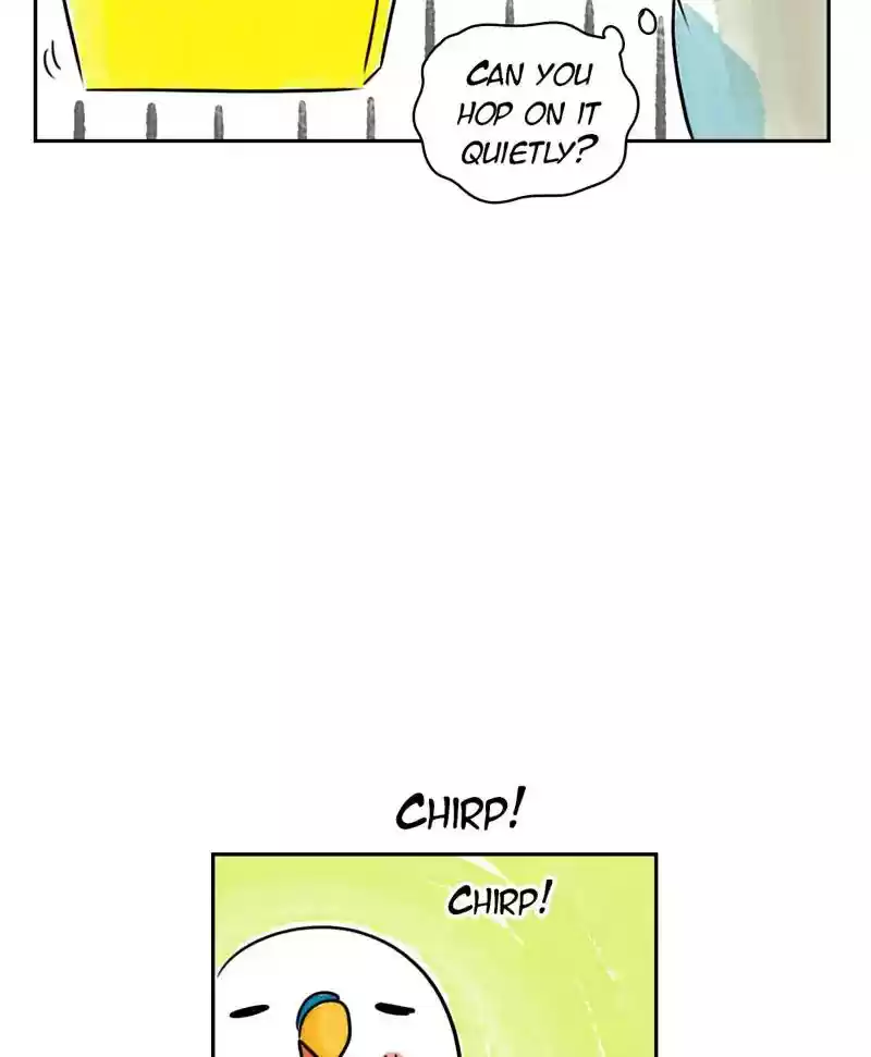 A Budgie's Life Chapter 185: Ep.184: