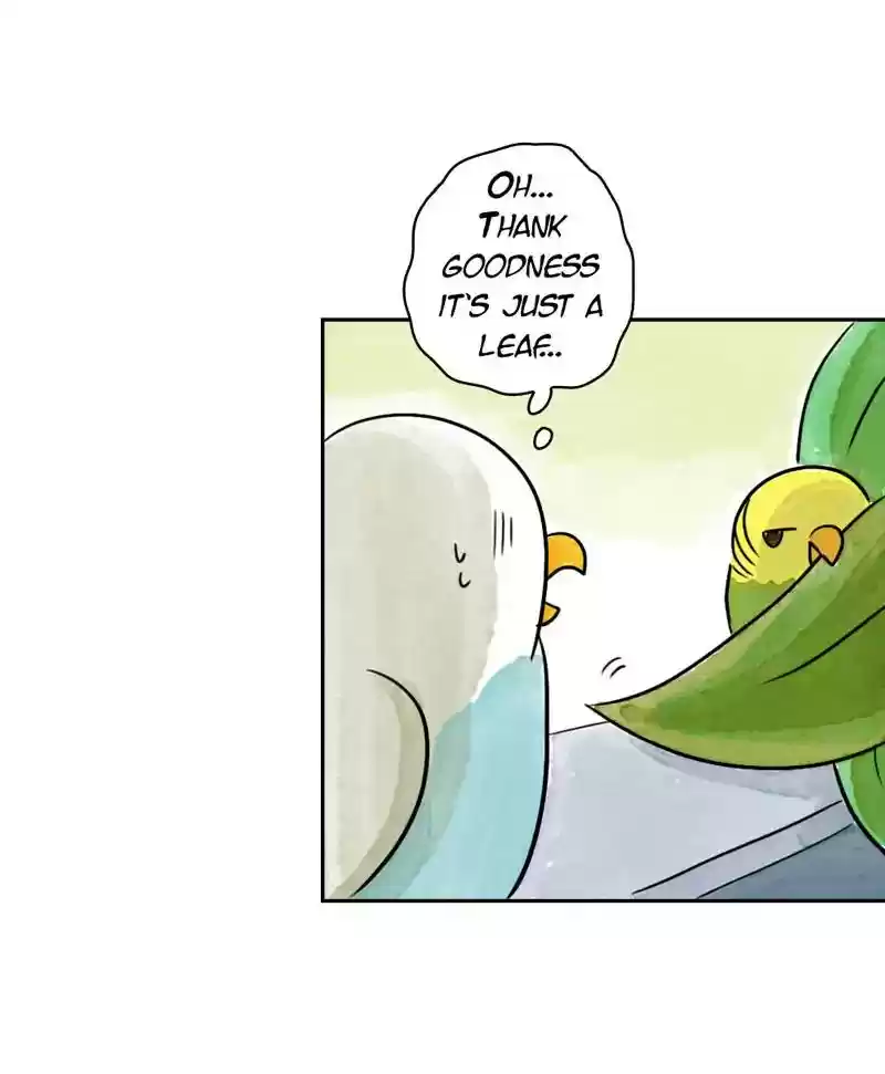 A Budgie's Life Chapter 185: Ep.184: