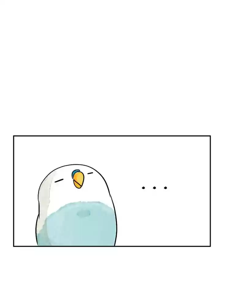 A Budgie's Life Chapter 185: Ep.184:
