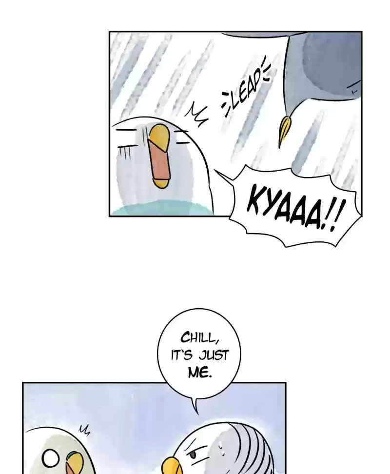 A Budgie's Life Chapter 185: Ep.184: