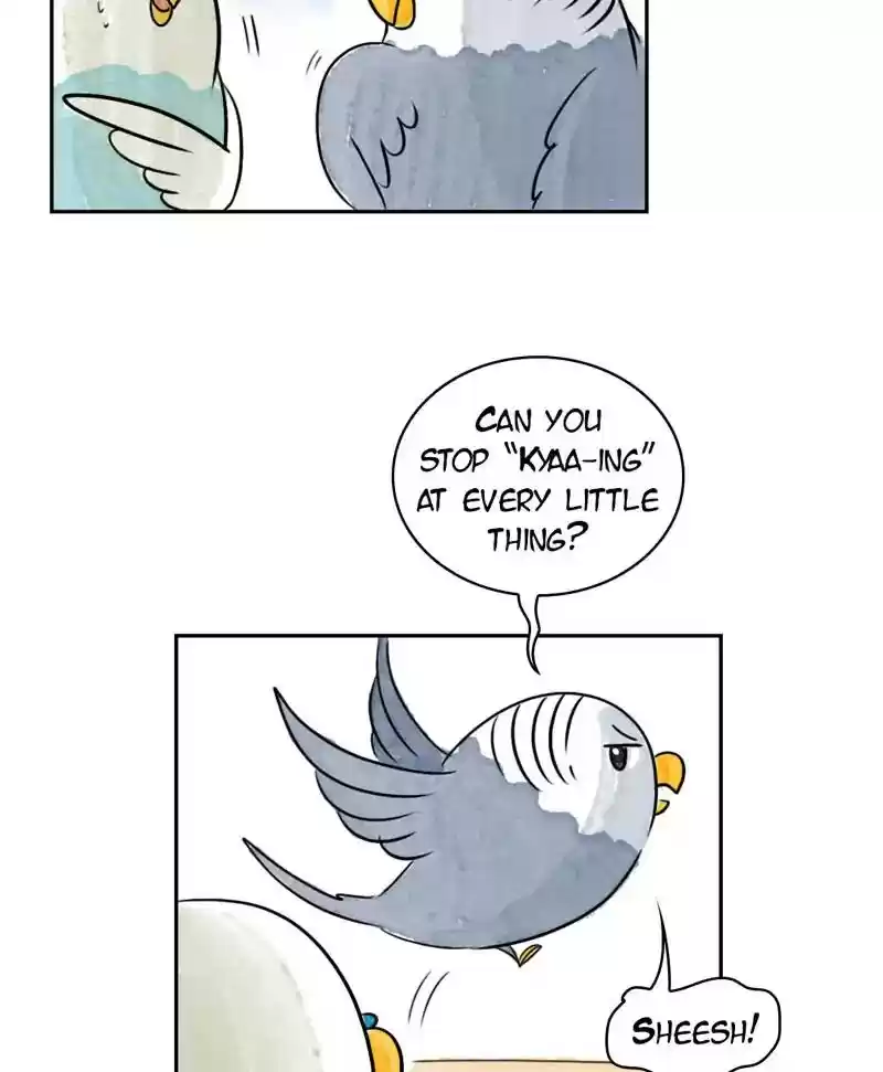 A Budgie's Life Chapter 185: Ep.184: