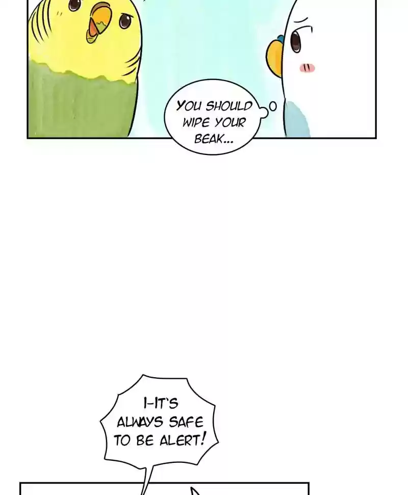 A Budgie's Life Chapter 185: Ep.184: