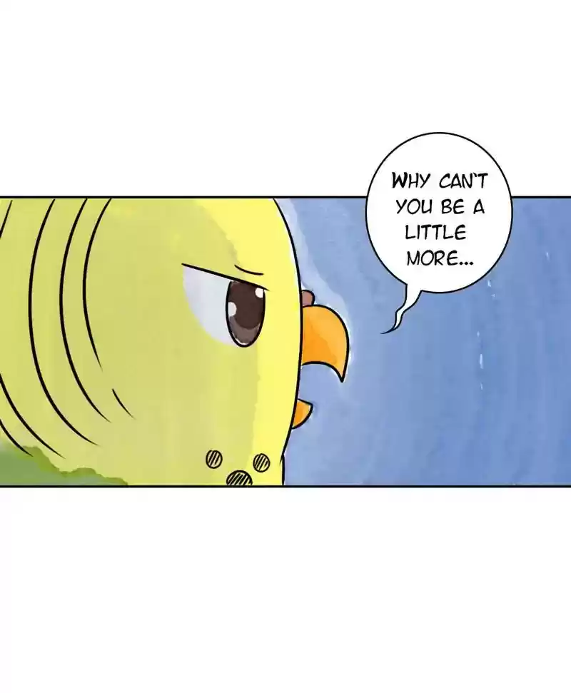 A Budgie's Life Chapter 185: Ep.184: