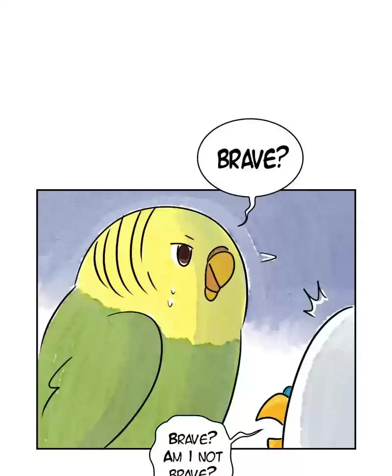 A Budgie's Life Chapter 185: Ep.184:
