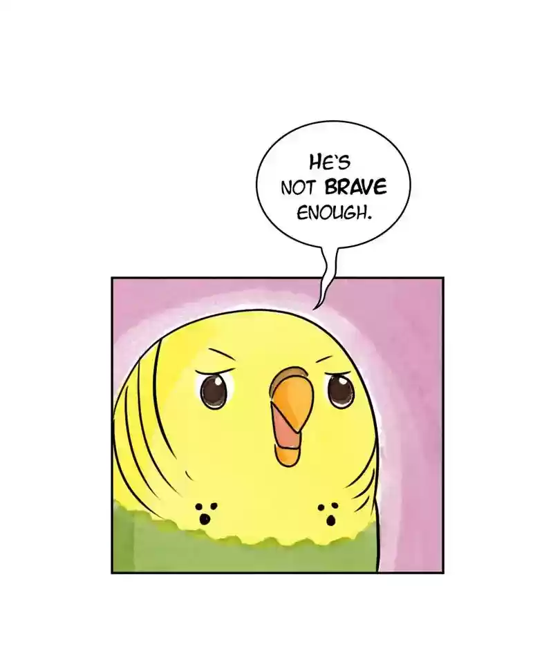 A Budgie's Life Chapter 185: Ep.184: