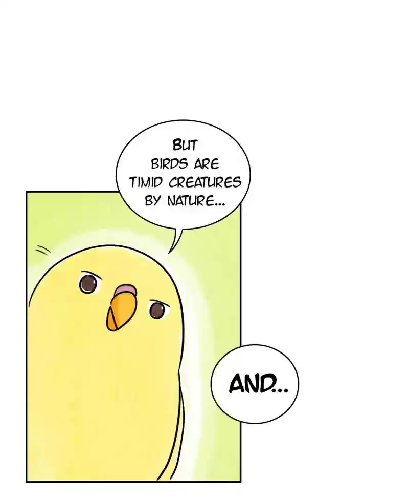 A Budgie's Life Chapter 185: Ep.184: