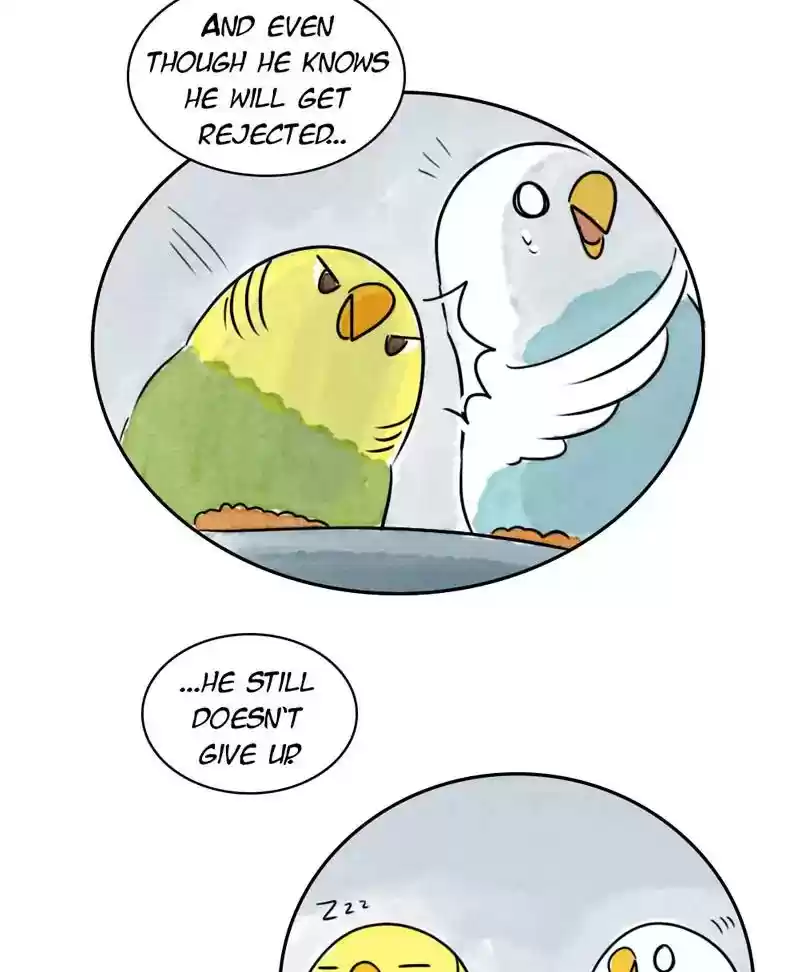 A Budgie's Life Chapter 185: Ep.184: