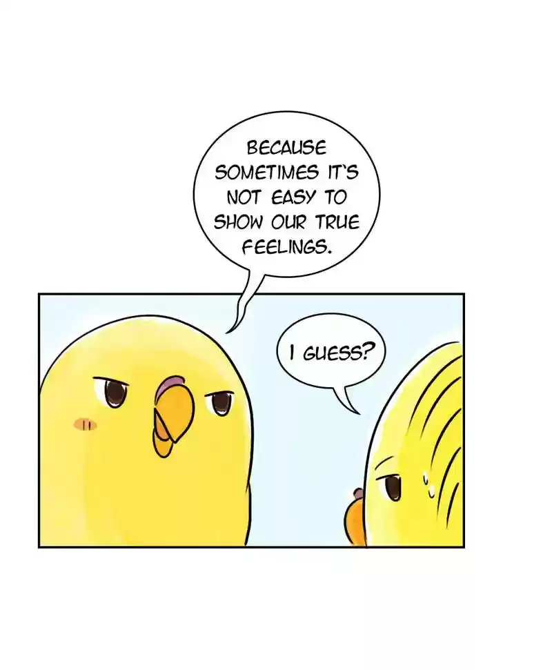 A Budgie's Life Chapter 185: Ep.184: