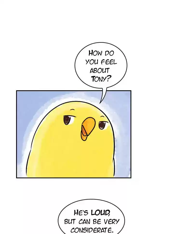 A Budgie's Life Chapter 185: Ep.184: