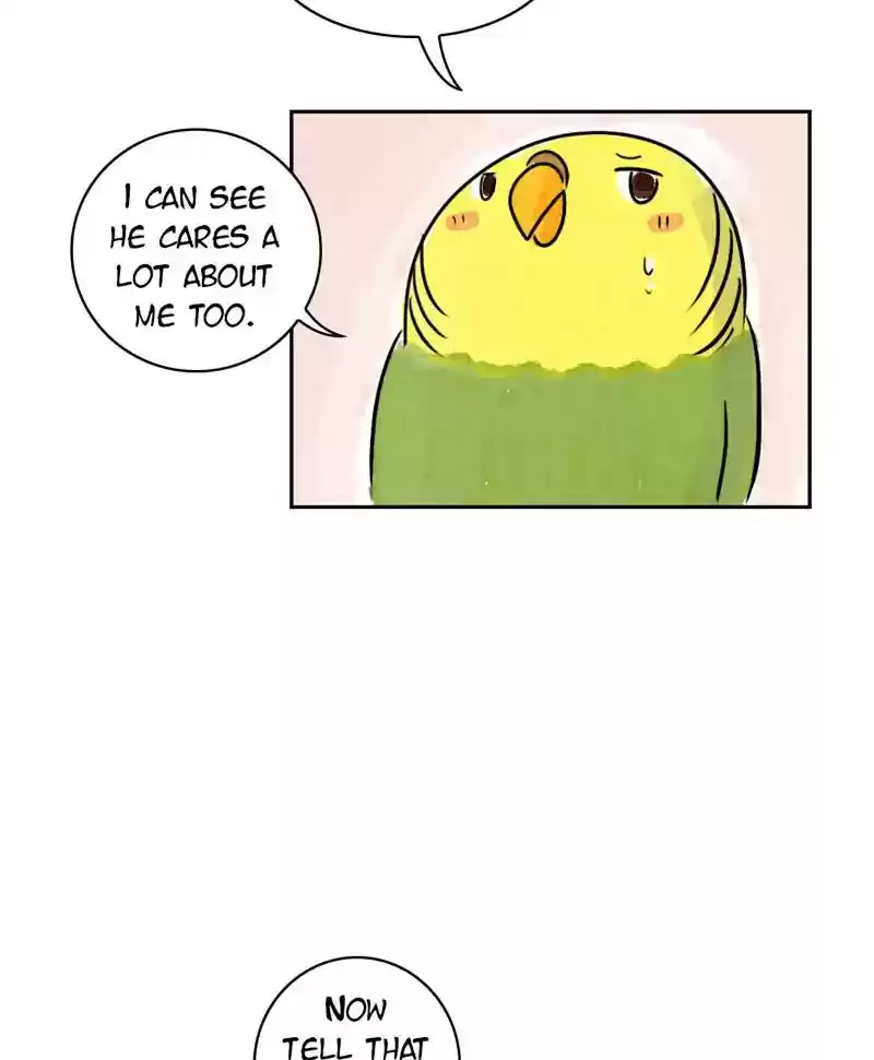 A Budgie's Life Chapter 185: Ep.184: