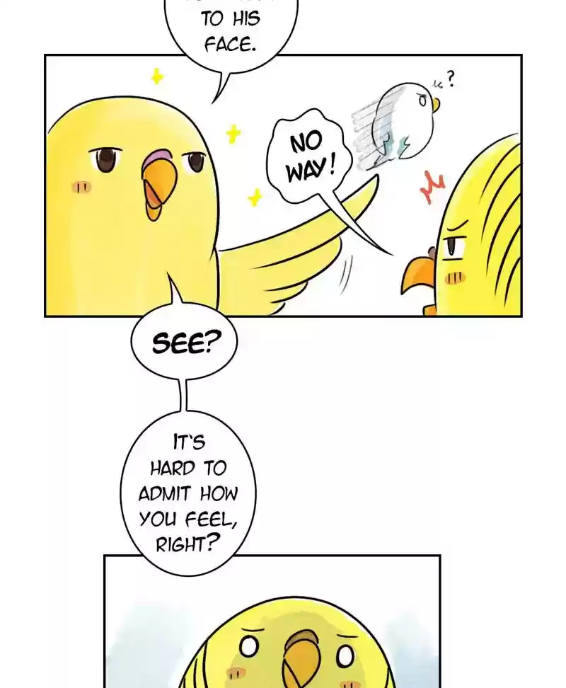 A Budgie's Life Chapter 185: Ep.184: