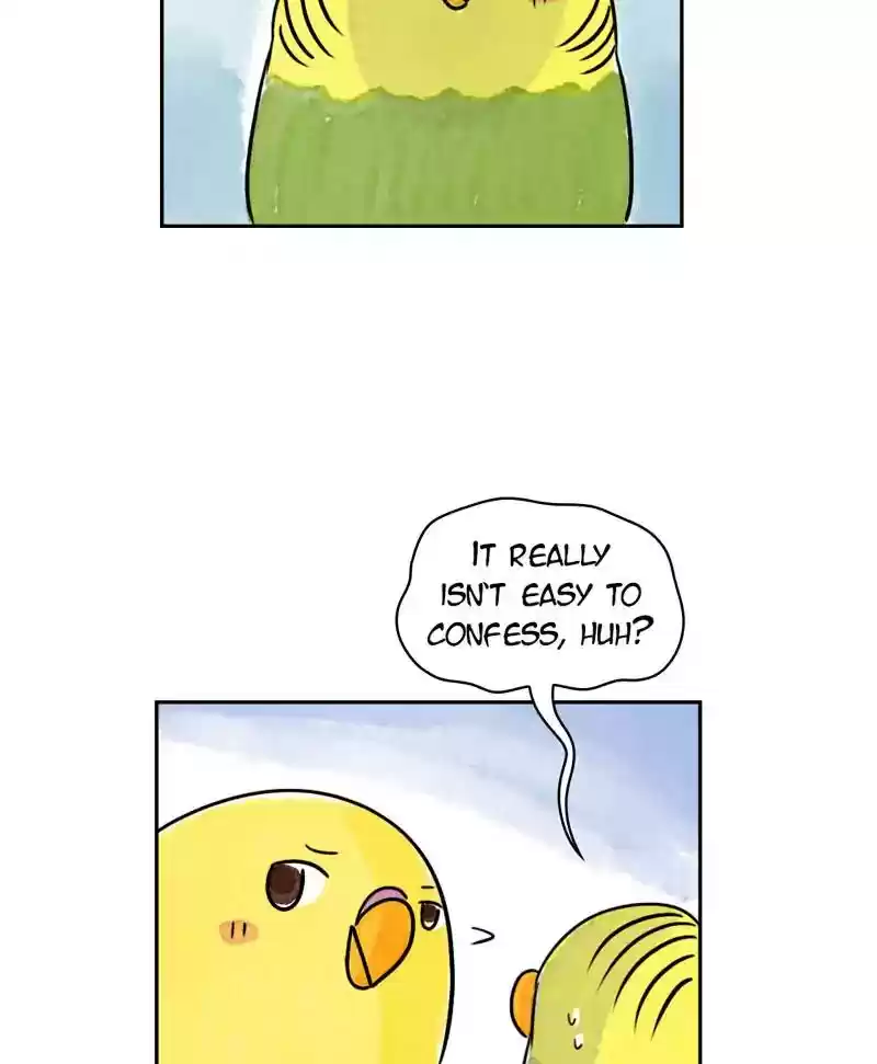 A Budgie's Life Chapter 185: Ep.184: