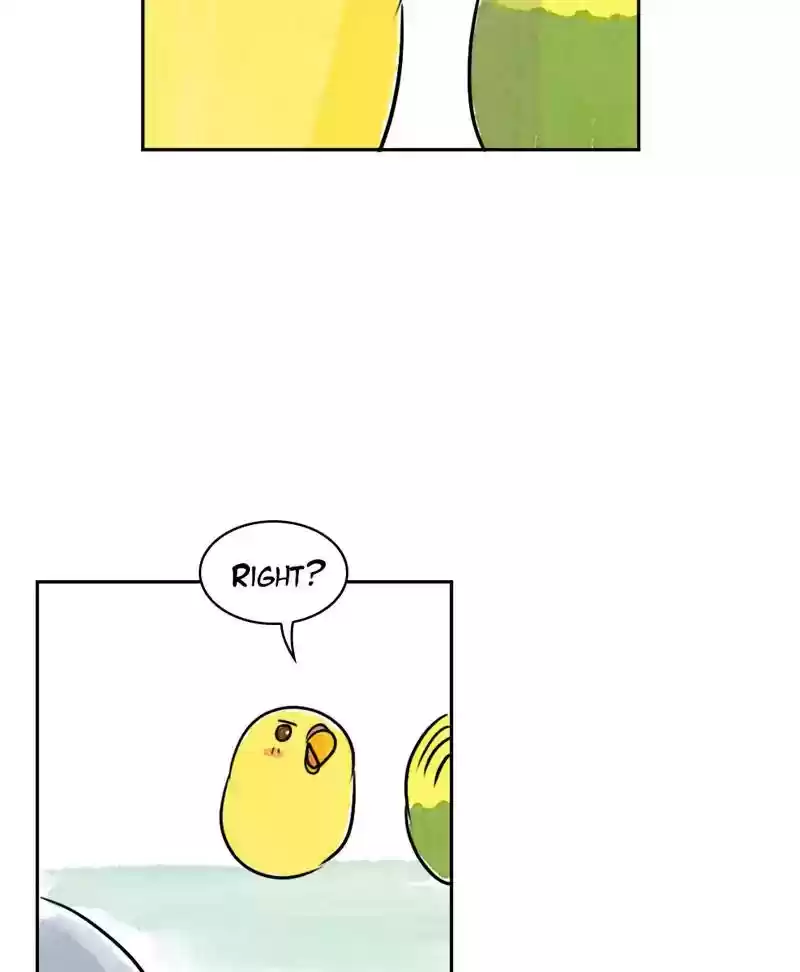 A Budgie's Life Chapter 185: Ep.184: