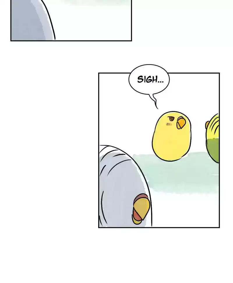 A Budgie's Life Chapter 185: Ep.184: