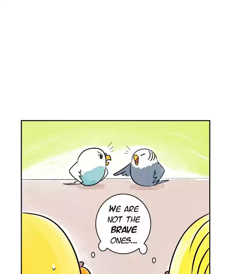 A Budgie's Life Chapter 185: Ep.184: