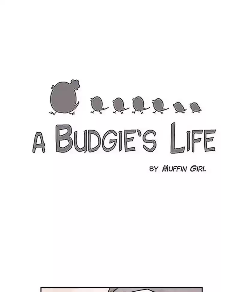 A Budgie's Life Chapter 186: Ep.185: