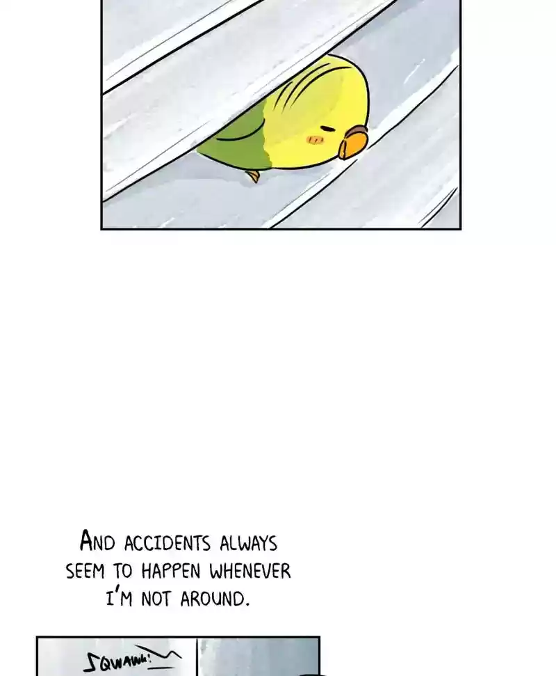 A Budgie's Life Chapter 186: Ep.185: