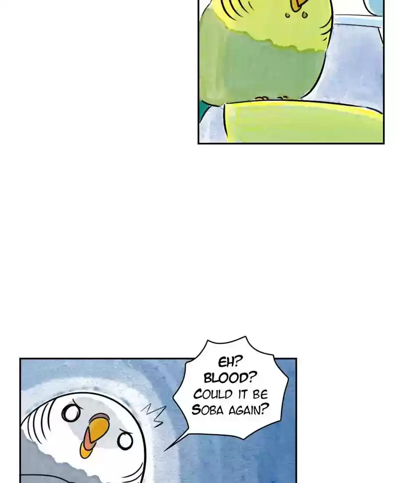 A Budgie's Life Chapter 186: Ep.185: