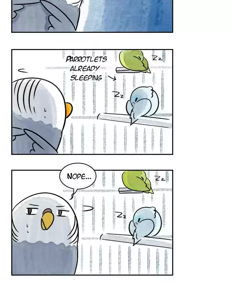 A Budgie's Life Chapter 186: Ep.185: