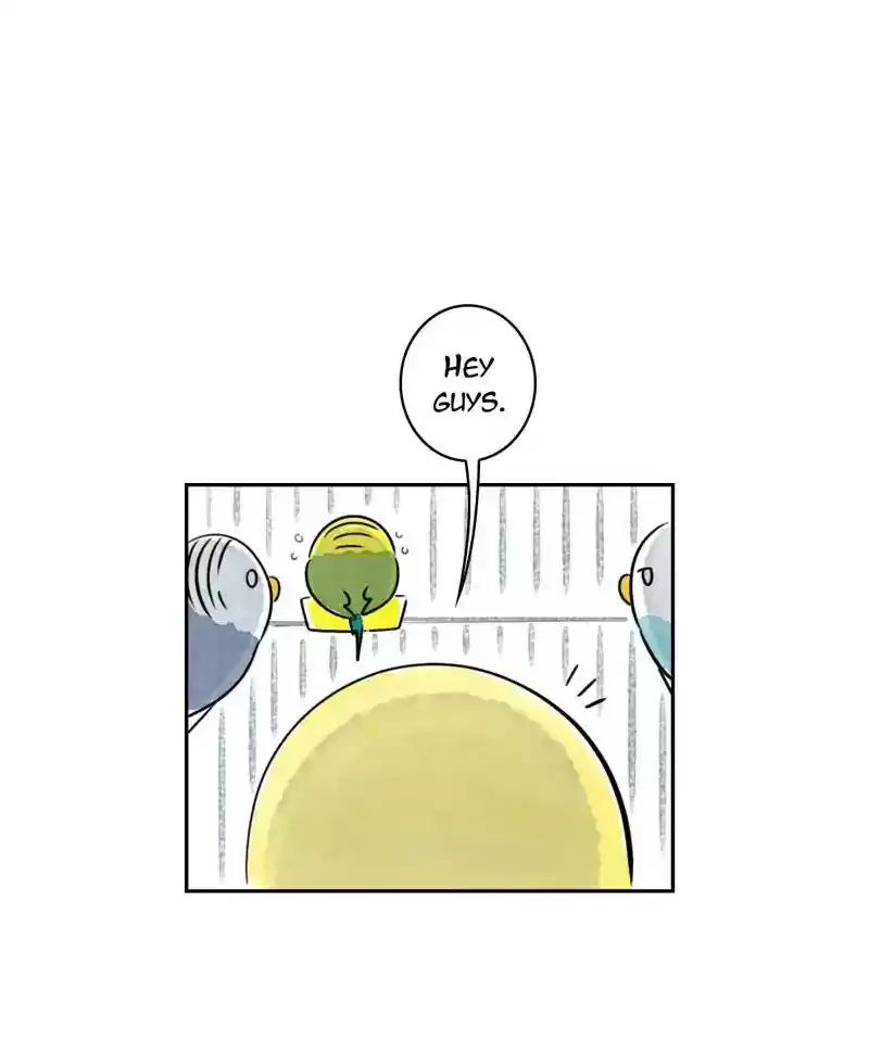 A Budgie's Life Chapter 186: Ep.185: