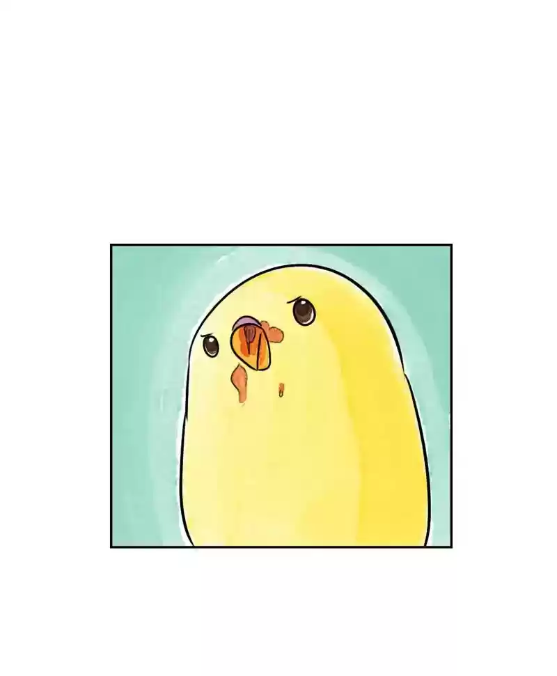 A Budgie's Life Chapter 186: Ep.185: