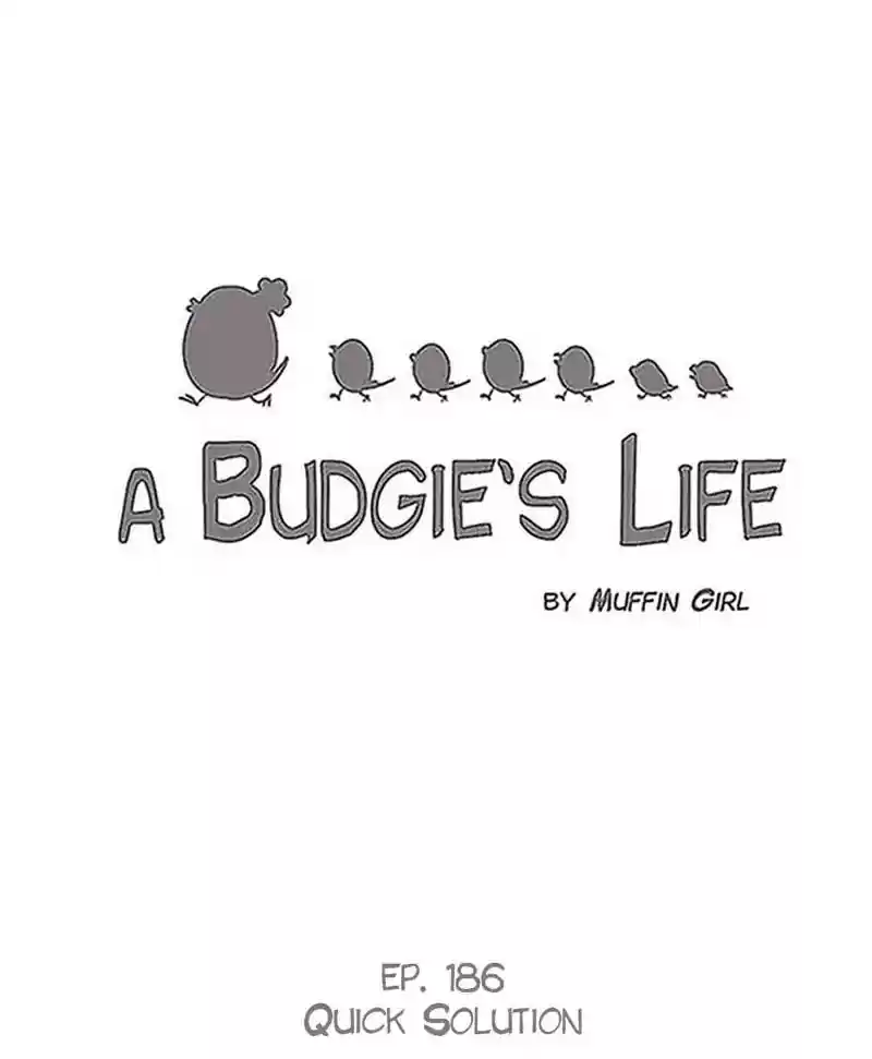 A Budgie's Life Chapter 187: Ep.186: