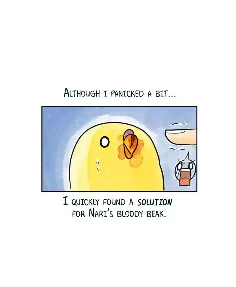 A Budgie's Life Chapter 187: Ep.186: