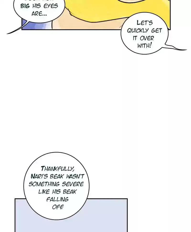 A Budgie's Life Chapter 187: Ep.186: