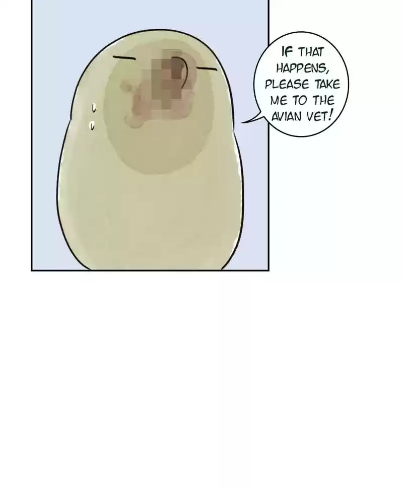 A Budgie's Life Chapter 187: Ep.186: