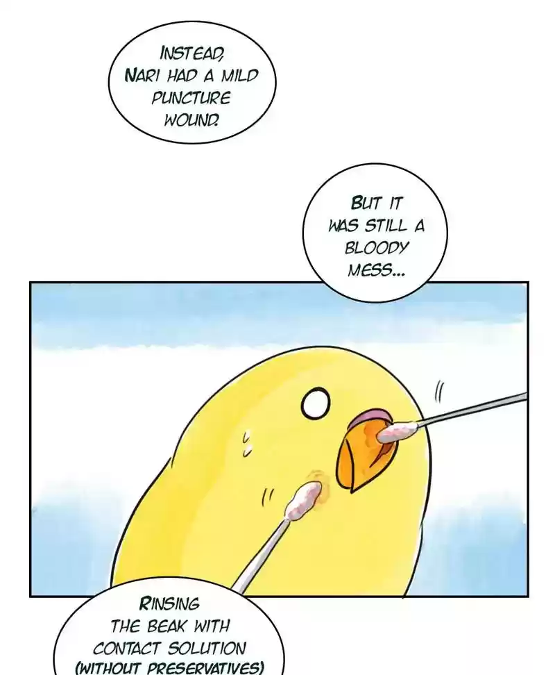 A Budgie's Life Chapter 187: Ep.186: