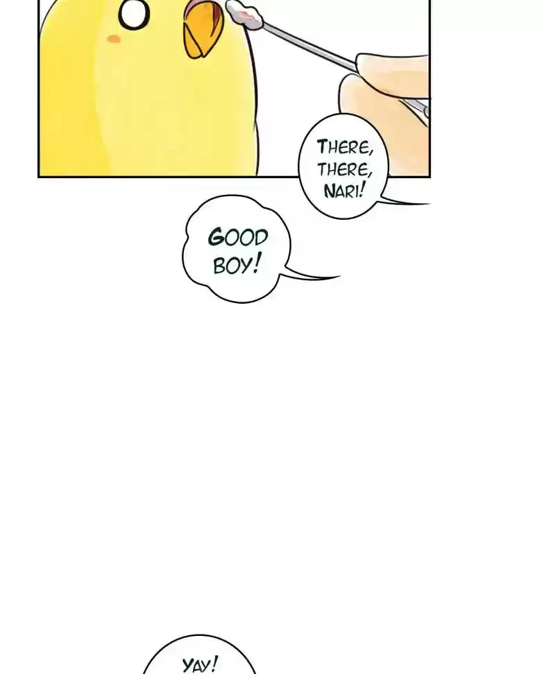 A Budgie's Life Chapter 187: Ep.186: