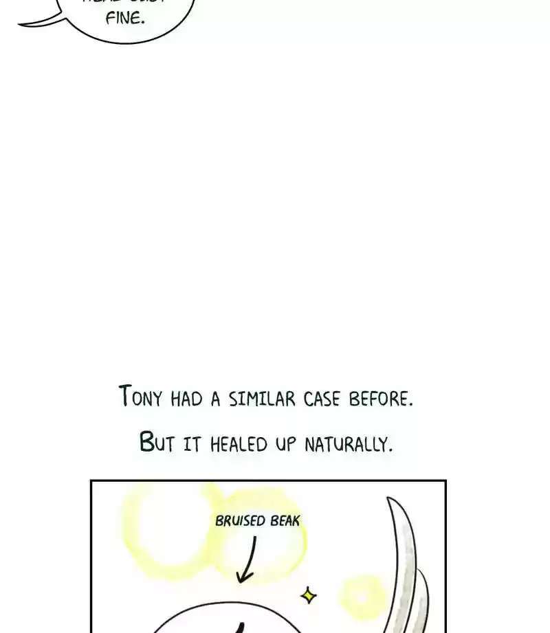 A Budgie's Life Chapter 187: Ep.186: